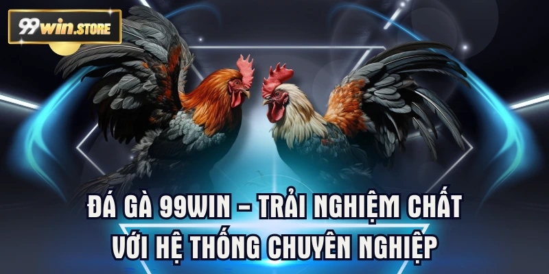 Đá Gà 99WIN - Trải Nghiệm Chất Với Hệ Thống Chuyên Nghiệp
