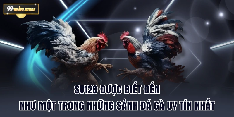 SV128 được biết đến như một trong những sảnh đá gà uy tín nhất